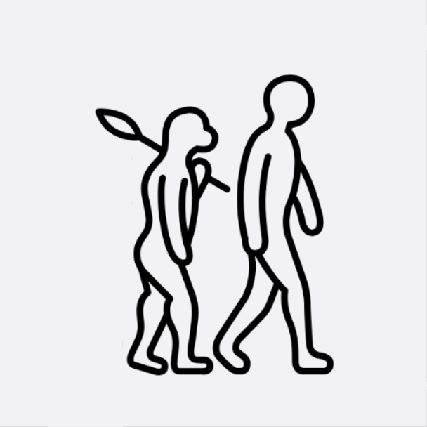 Human Evolution